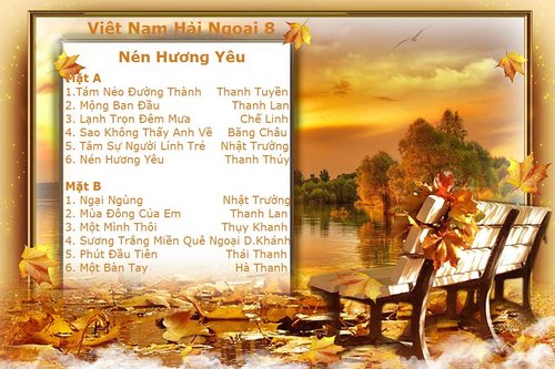 Tape Việt Nam Hải Ngoại 8 - Nén Hương Yêu